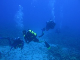 28  Divers IMG 2739